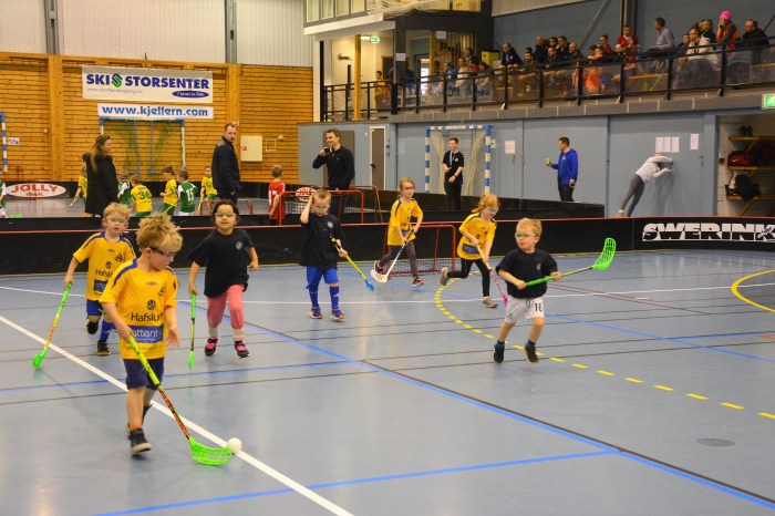 innebandy-minirunde-ski-1