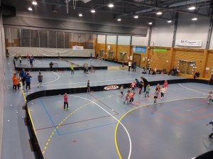 Ski IL Innebandy